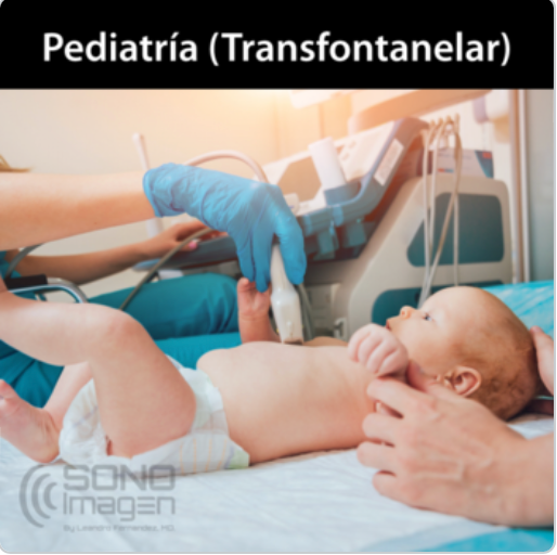 Curso Ultrasonido Cerebral Transfontanelar MODO VIRTUAL