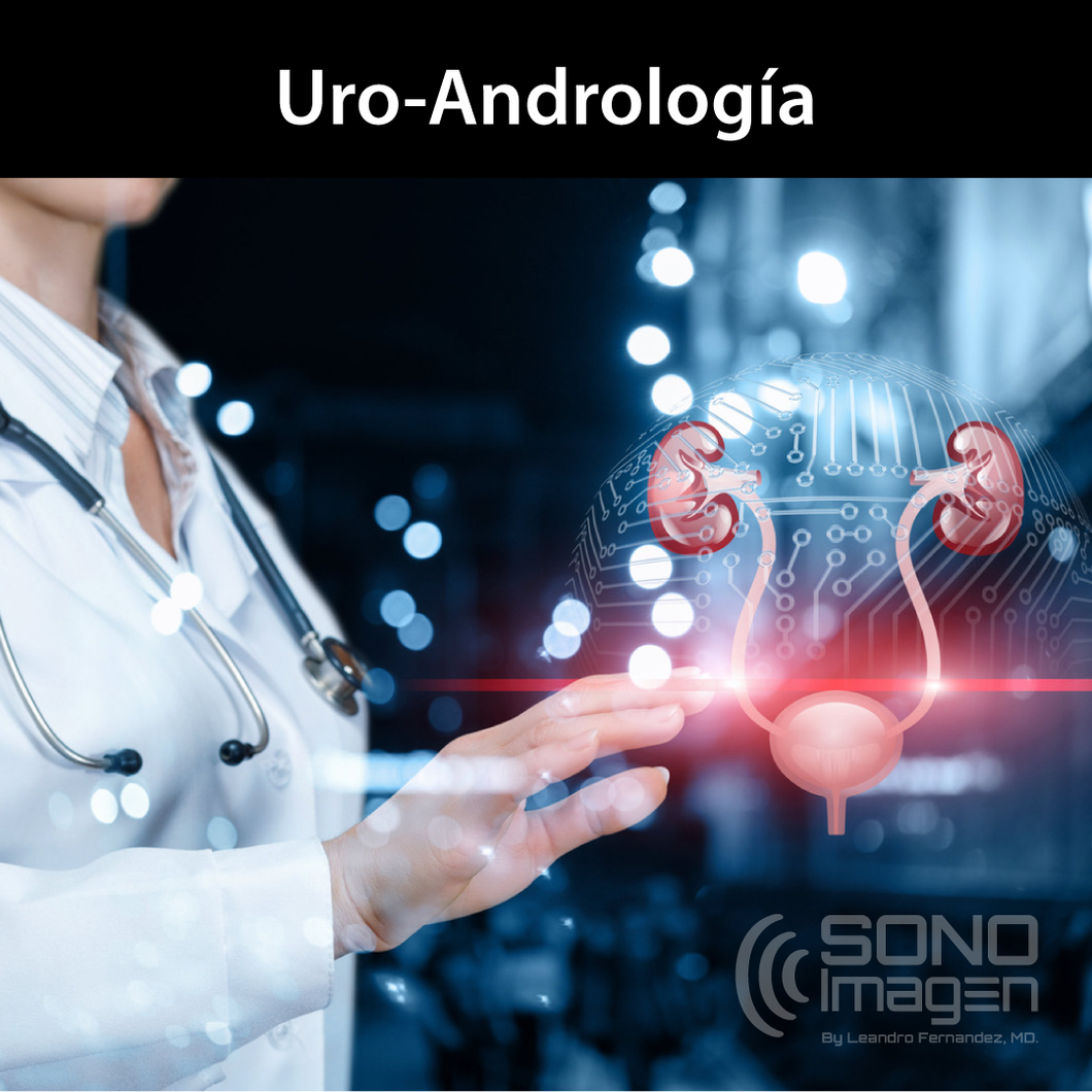 Curso Ultrasonido en Uro-Andrología MODO VIRTUAL
